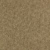 Shagreen 312904